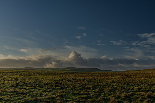 20251122_77.jpg