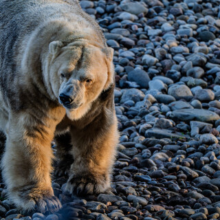 20251124_106
